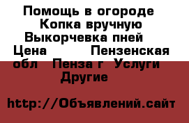 Помощь в огороде. Копка вручную.Выкорчевка пней. › Цена ­ 500 - Пензенская обл., Пенза г. Услуги » Другие   